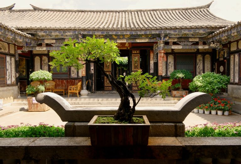 gray divan sofa near bonsai tree