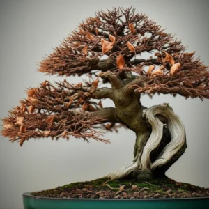 Featured image for 15 Surprising Disadvantages of Bonsai Trees You Must Know 2025
