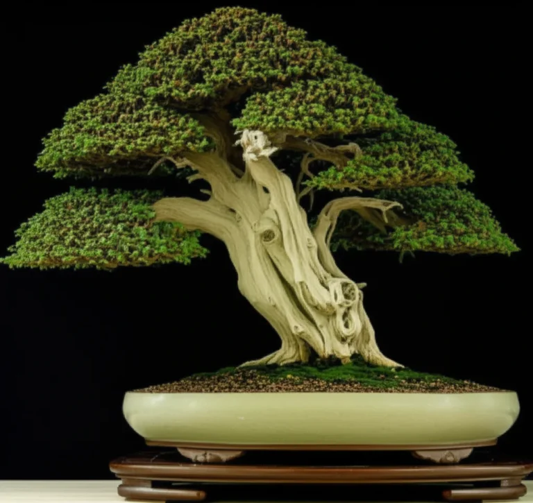 Featured image for Unlocking the Secrets of the Shari Bonsai Technique 10 Expert Tips 2026