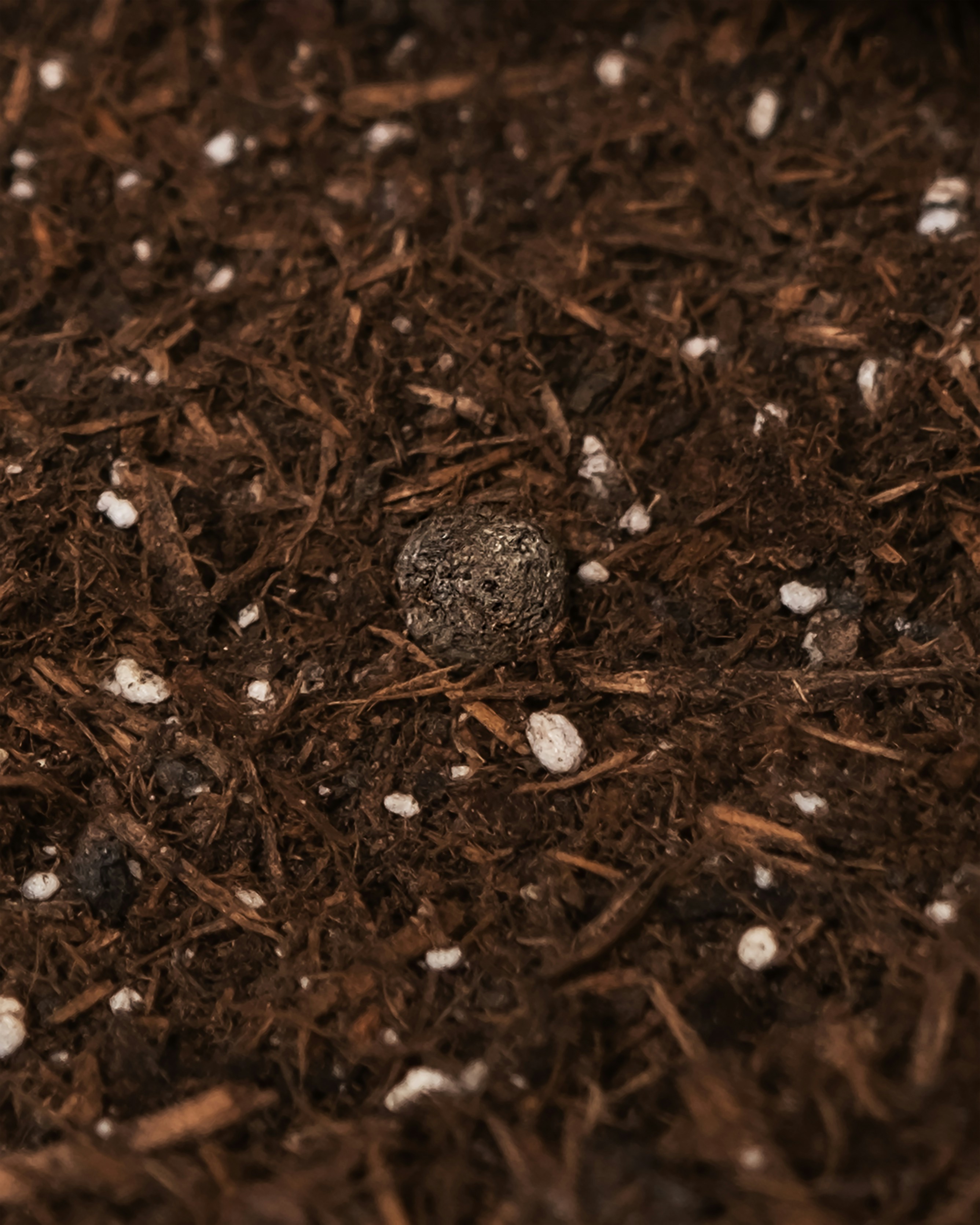 a close up of a dirt ground with white dots