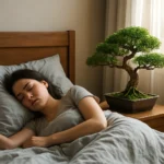 Featured image for Can You Sleep with a Bonsai Tree The 2026 Truth Revealed