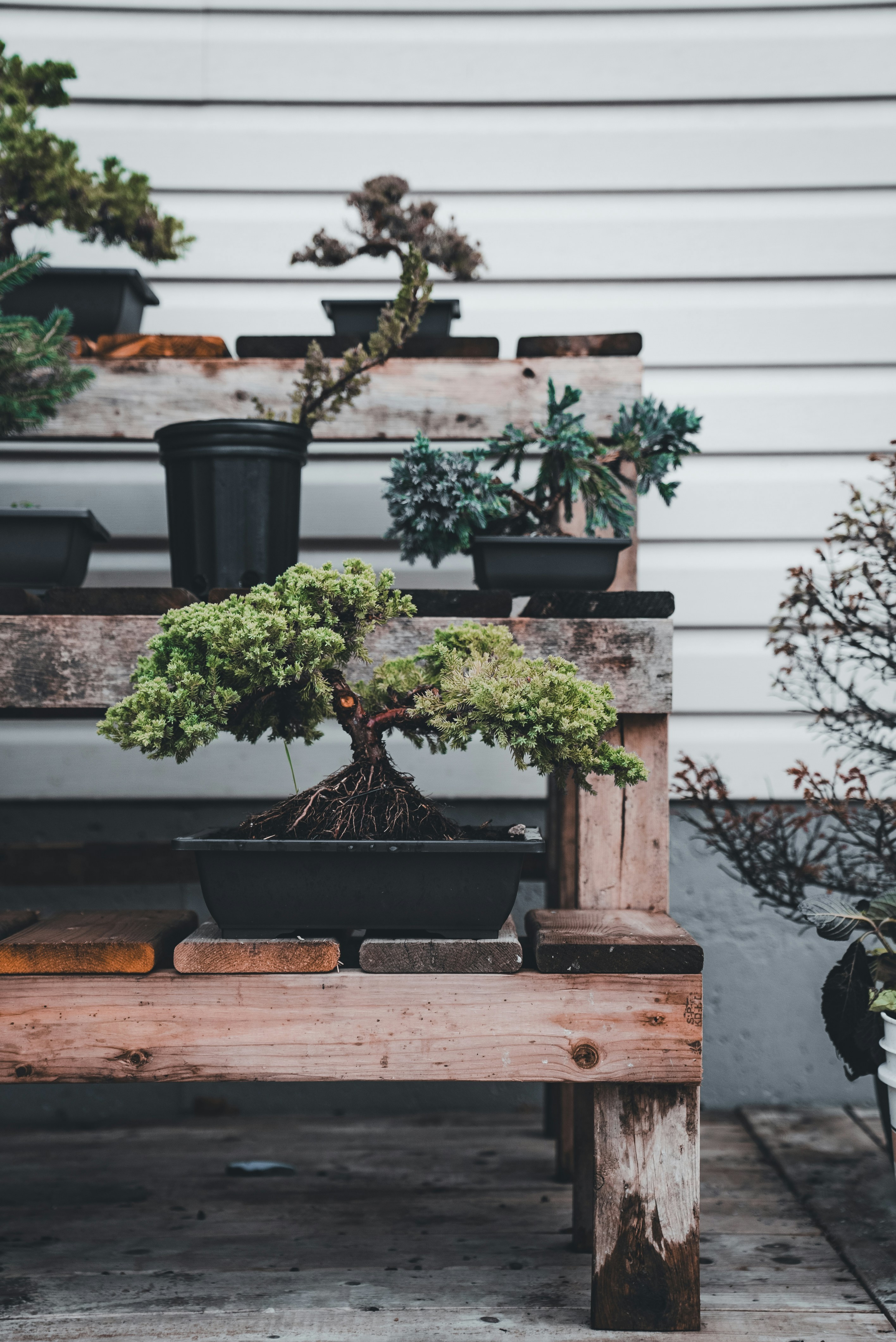 A wooden table topped with lots of potted plants