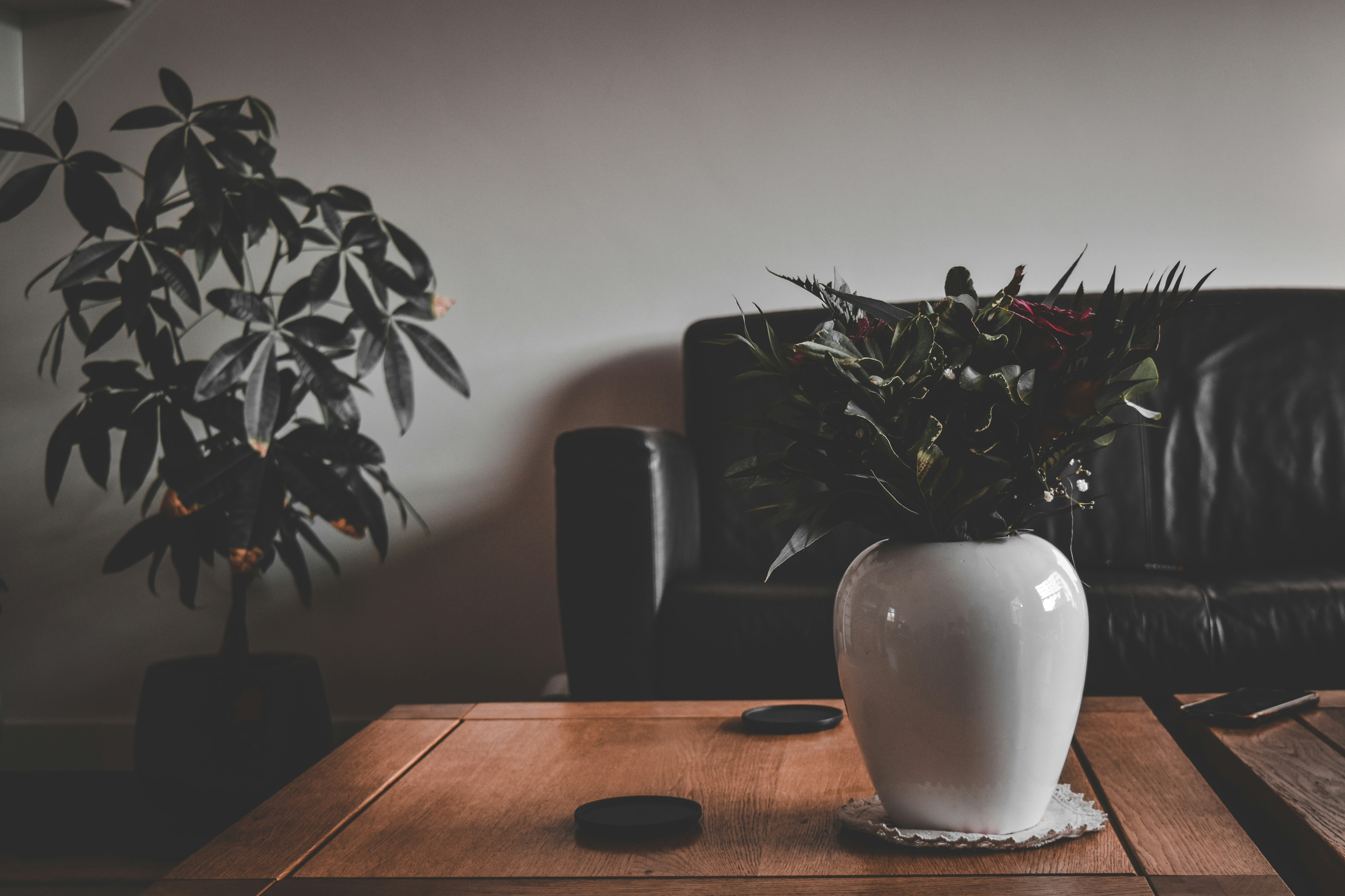 Picture made in the livingroom.
by Bonsai Garden a white vase sitting on top of a wooden table