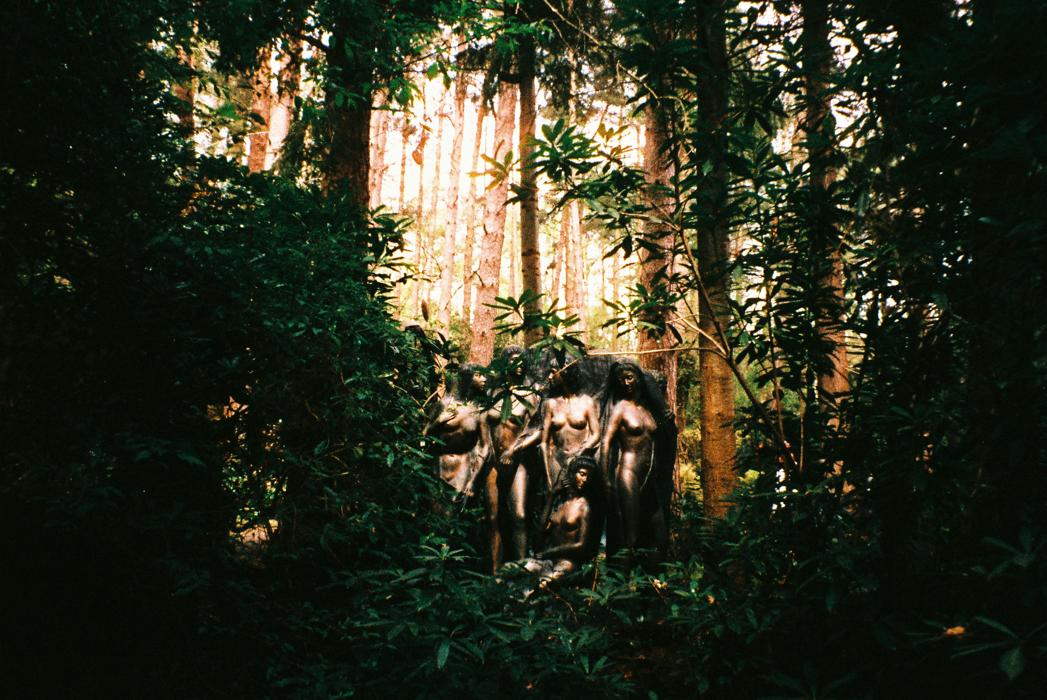 ❓ Frequently Asked Questions (FAQ) by Bonsai Garden A mysterious sculpture hidden deep within a lush forest.