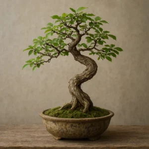 Featured image for Wabi-Sabi Bonsai Embrace Imperfection in 2026