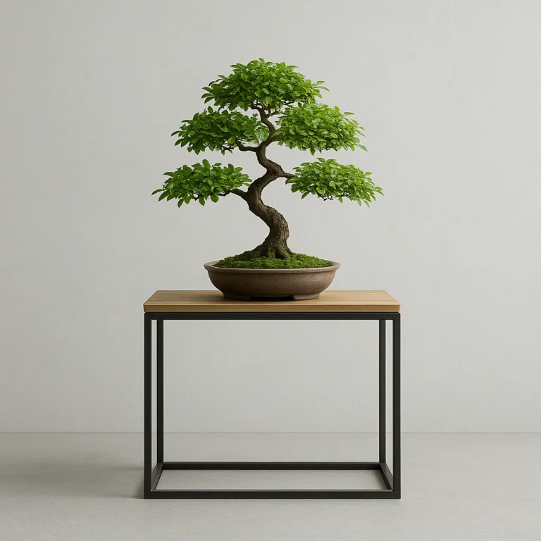 Featured image for 10 Bonsai Stand Trends Dominating 2026 Elevate Your Tree