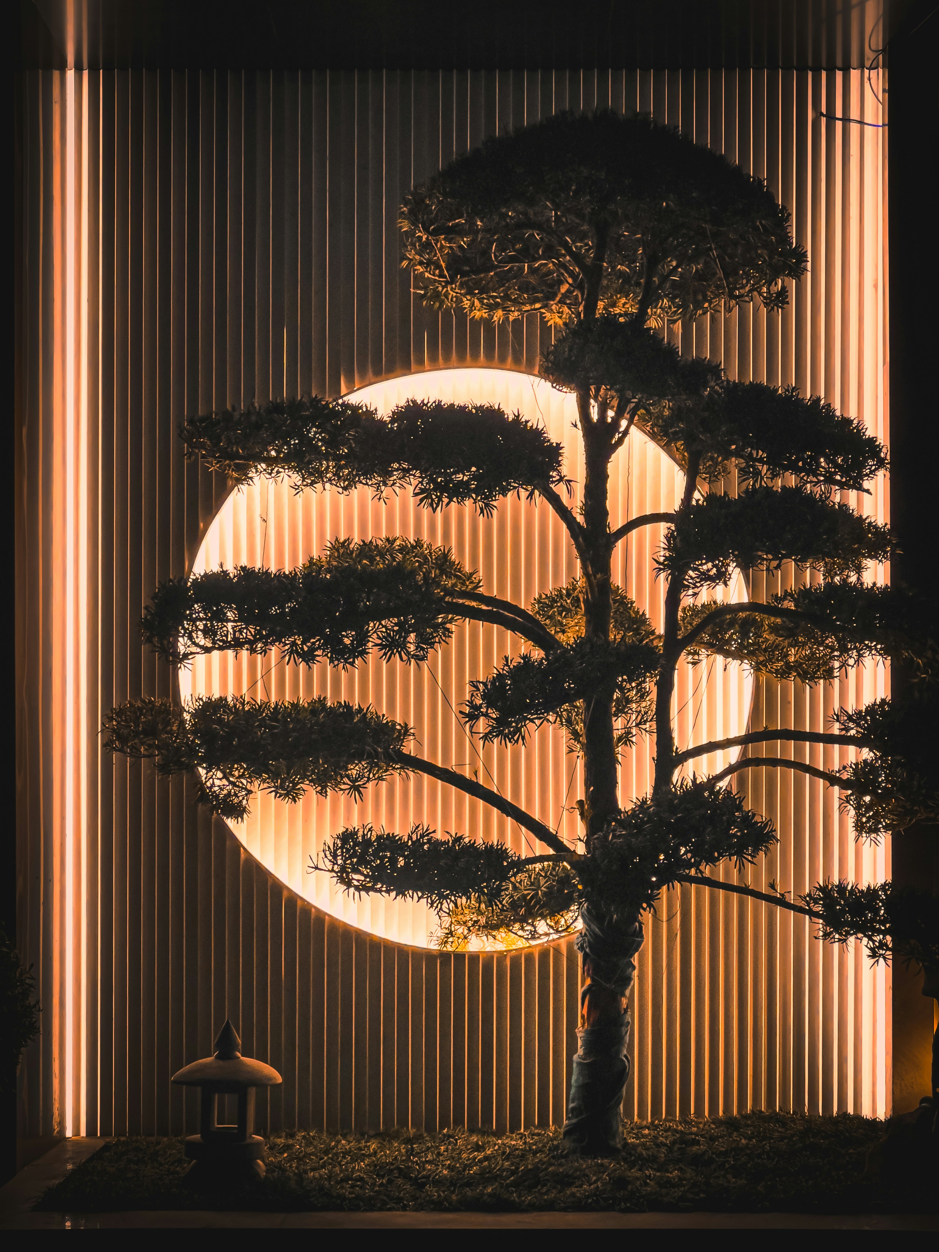 Tree by Bonsai Garden a bonsai tree in front of a full moon