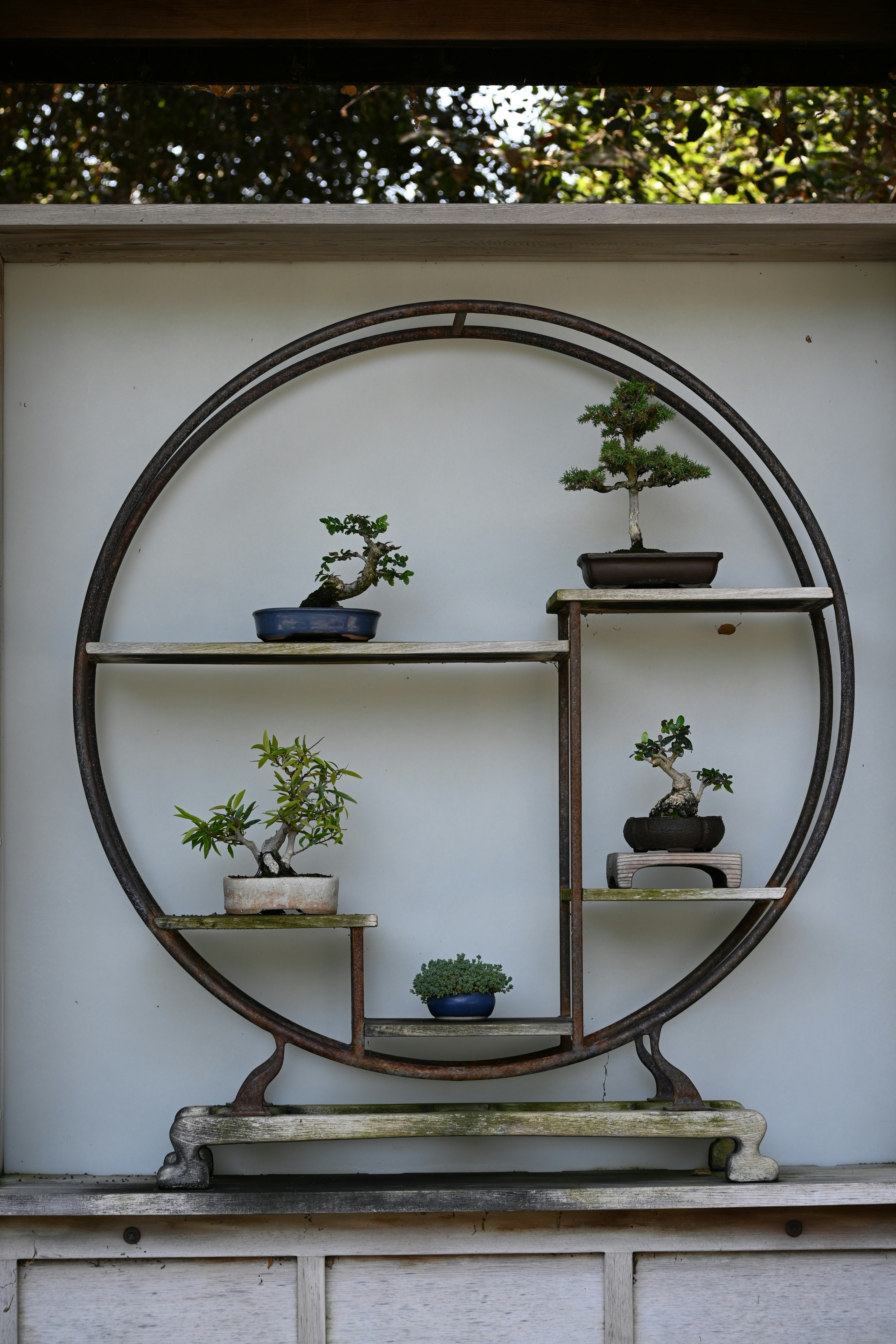 🏁 Conclusion by Bonsai Garden a clock hanging from the ceiling