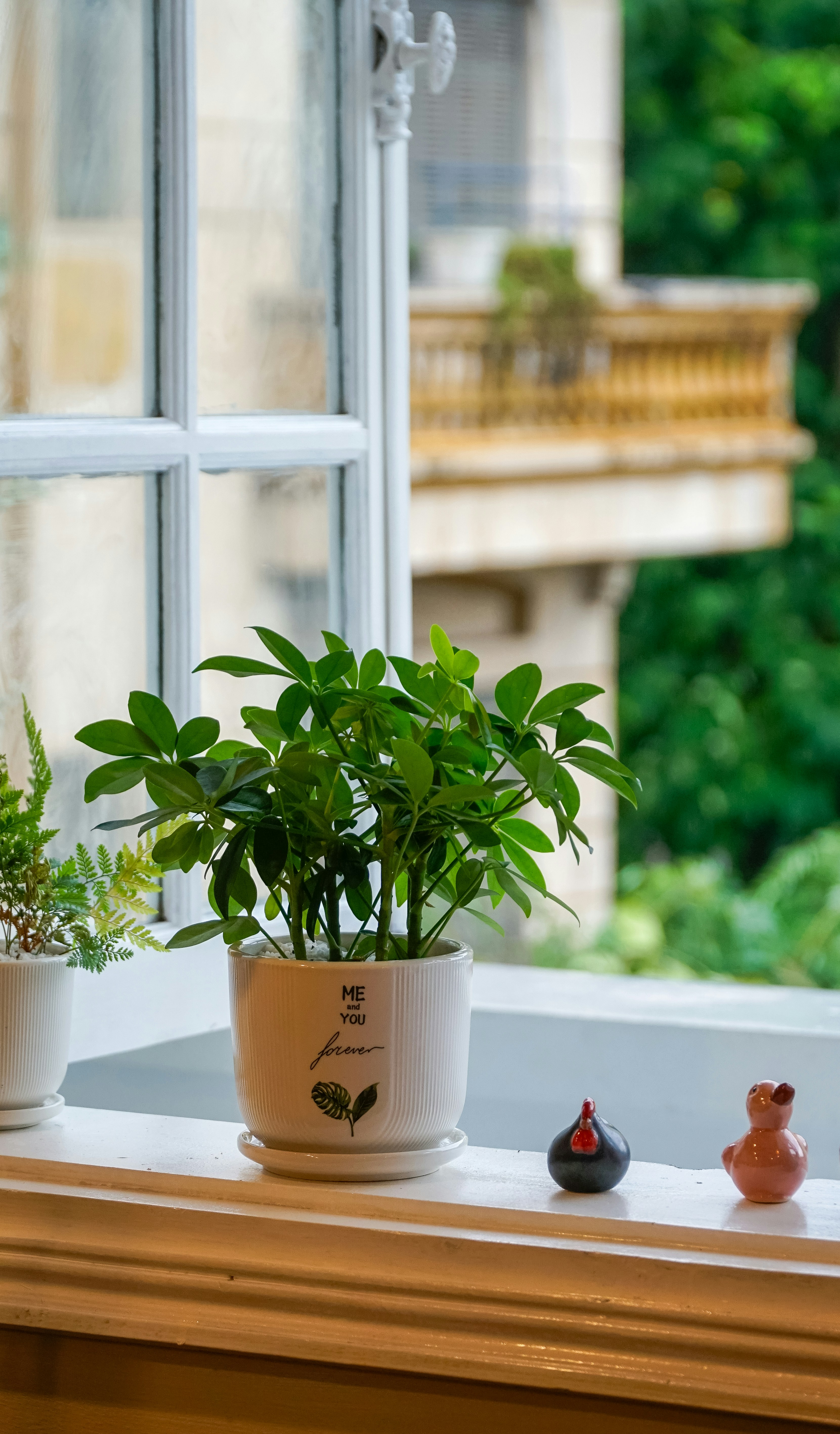 Potted plant on a windowsill with decorative chickens.