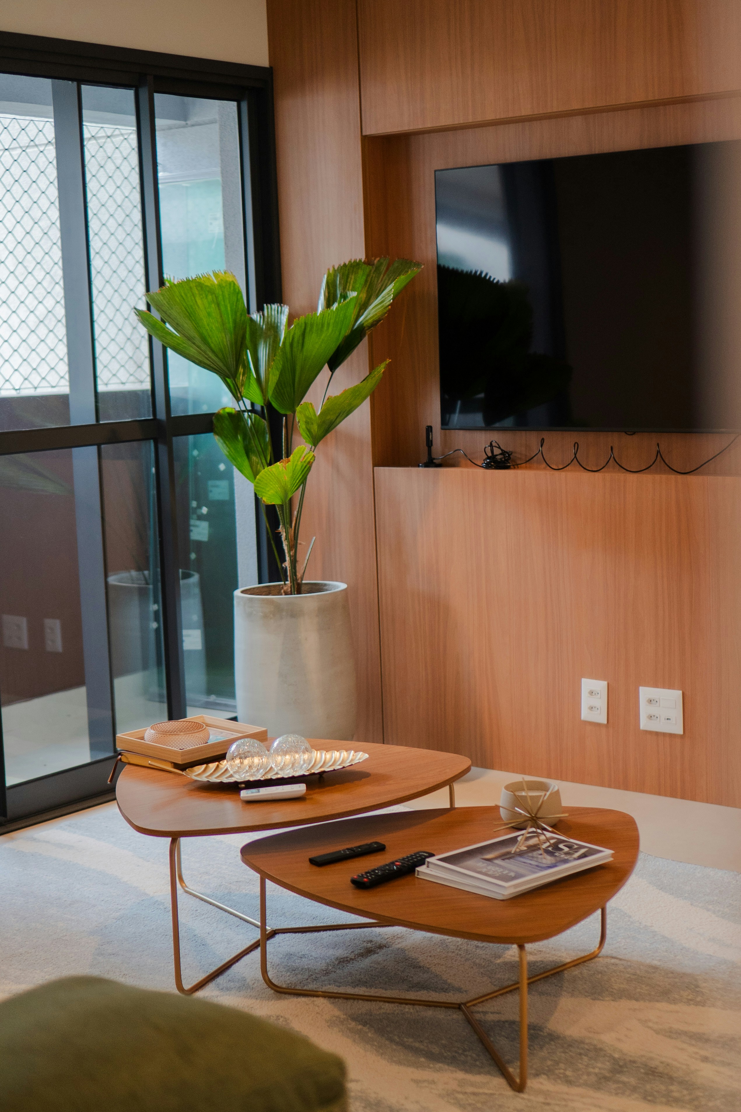 📜 From Imperial Courts to Your Coffee Table: A Brief History of Bonsai Stands by Bonsai Garden Modern living room with tv, large plant, and coffee tables.